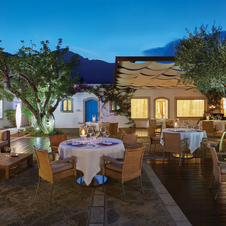 Tables under trees - Dionysos Restaurant, Elounda, Crete