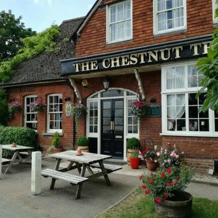 Chestnut Tree, West Wratting, England