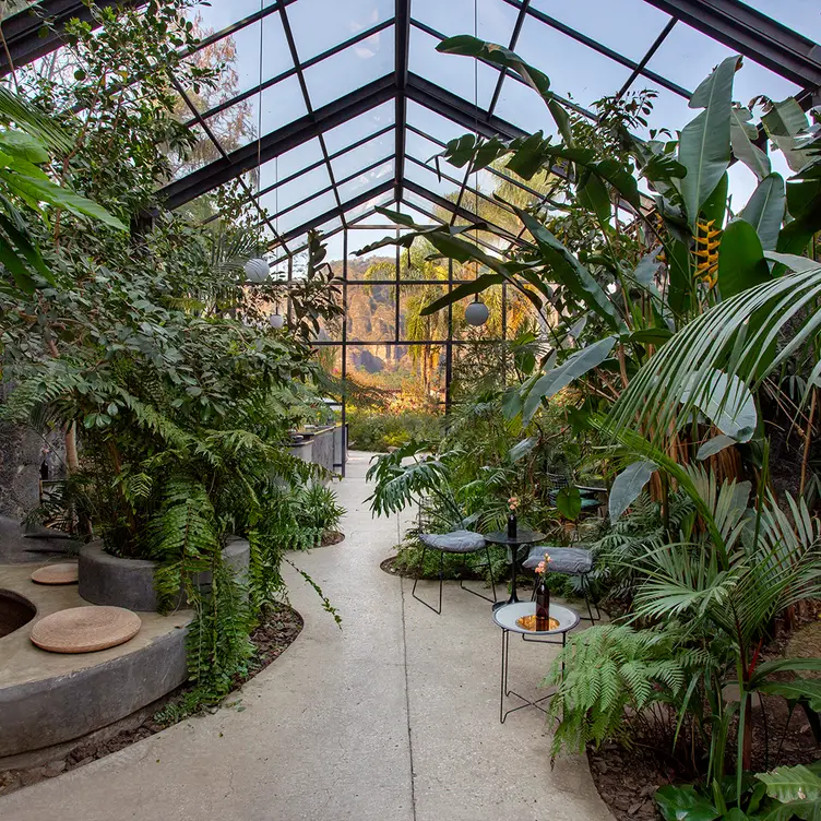 Green House  - Margarita Concept Garden, Tepoztlán, MOR