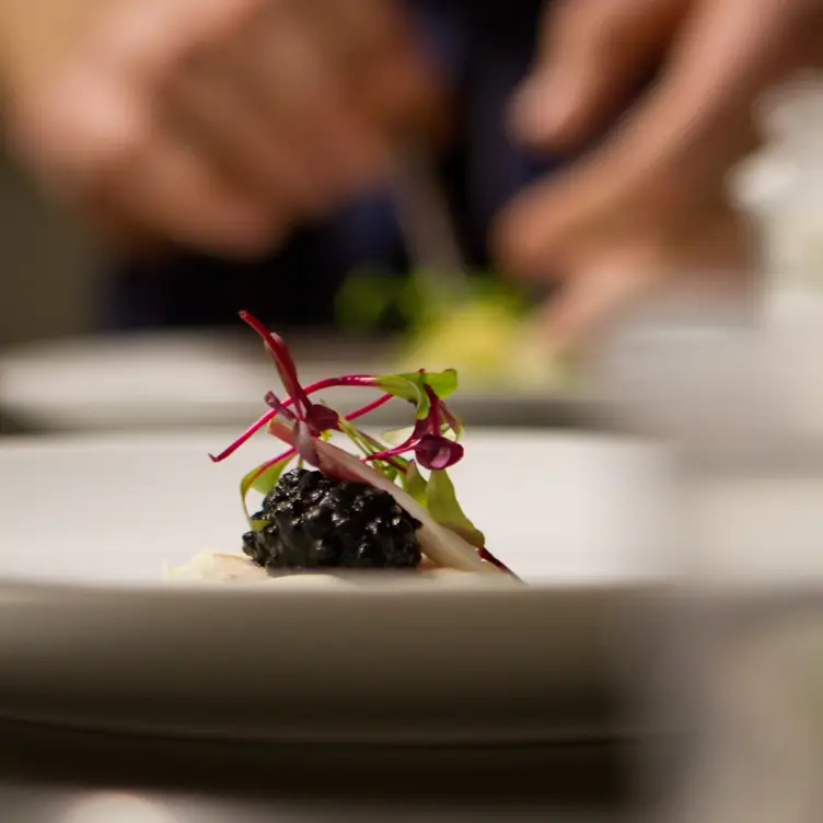 Eclipse Chef's Table，Provence-Alpes-Cote d'AzurValbonne