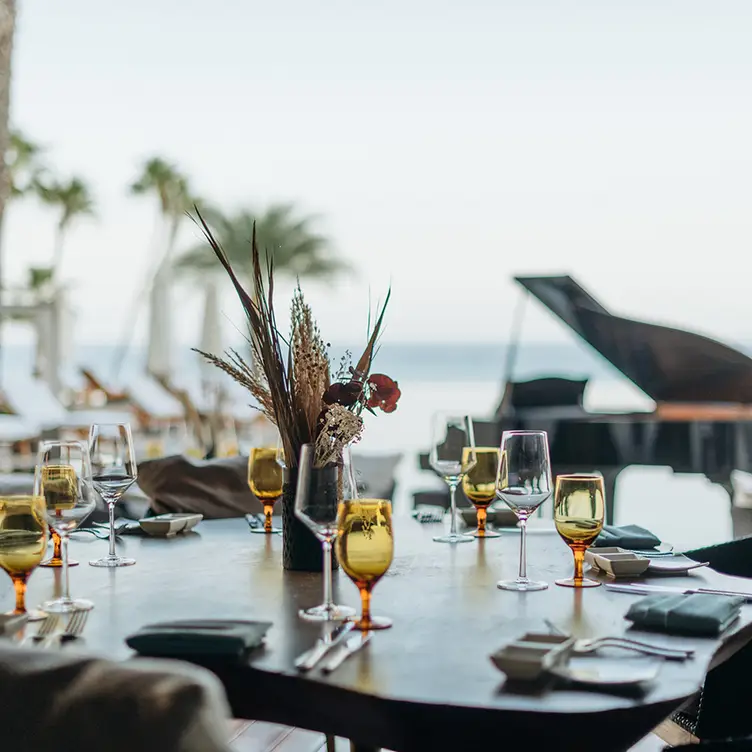 Vela by the sea  - Vela -  The Hilton Los Cabos Hotel BCS Cabo San Lucas