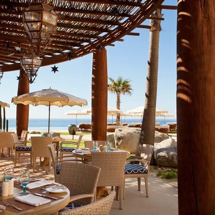 The Beach Club Terrace - Beach Restaurant - Waldorf Astoria Los Cabos Pedregal BCS Cabo San Lucas