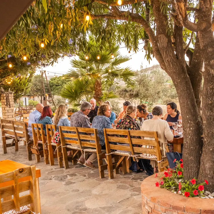 SalAzar Restaurante, Ensenada, BCN