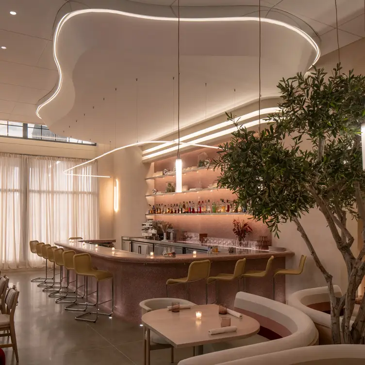 Ash Restaurant Tampa, FL OpenTable