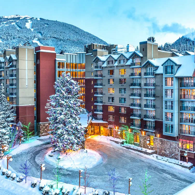 Cinnamon Bear | Hilton Whistler - Winter - Cinnamon Bear | Hilton Whistler Resort & Spa, Whistler, BC