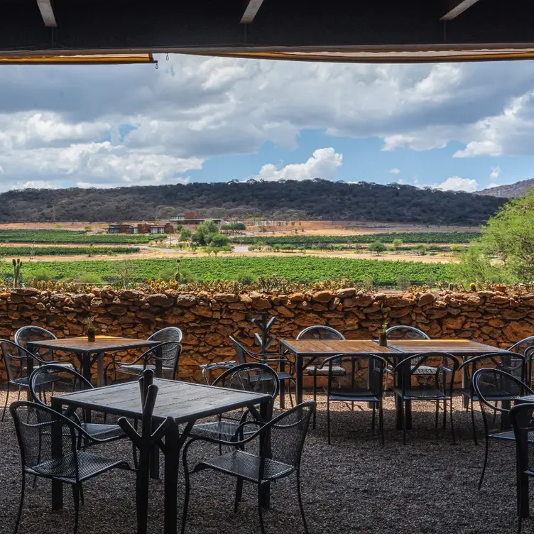 Restaurante Ruinas - Viñedos Puerta del Lobo，QUEQuerétaro