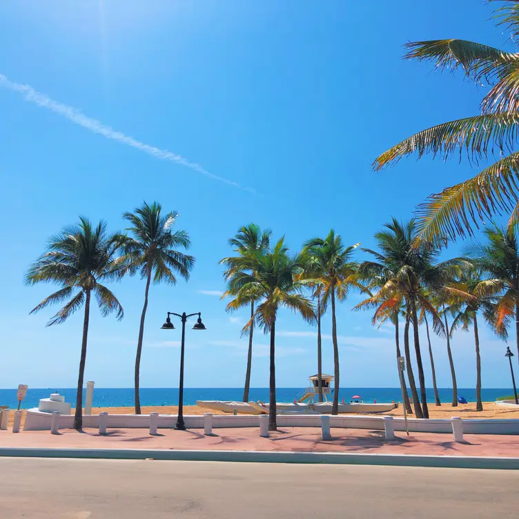 Stunning rooftop views of Fort Lauderdale Beach. - LaPlaya Rooftop Restaurtant and Bar, Fort Lauderdale, FL