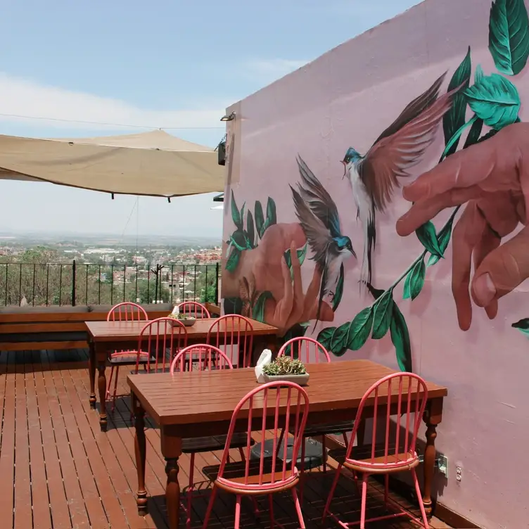 The Rooftop at Selina SMA, San Miguel de Allende, GUA