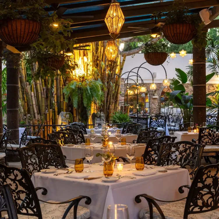 Our terrace dining room - Le Bistro, Puerto Vallarta, JAL