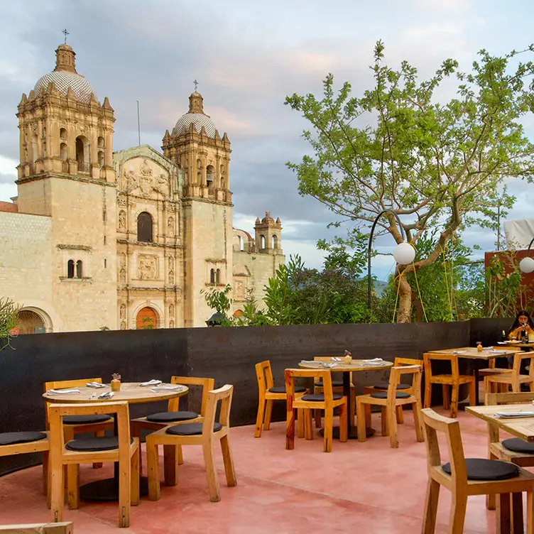 Cobarde - Vista Terraza - Cobarde Oaxaca OAX Oaxaca de Juárez