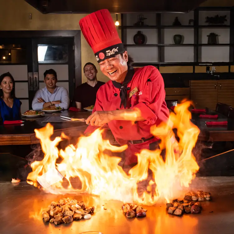 Kobe Japanese Steakhouse - Altamonte Springs, Altamonte Springs, FL