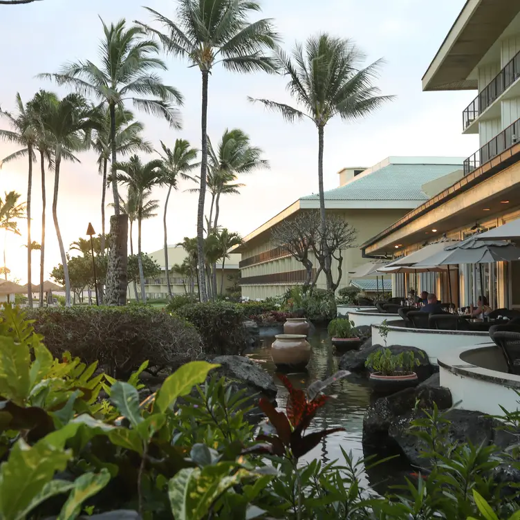 Naupaka Terrace, Lihue, HI