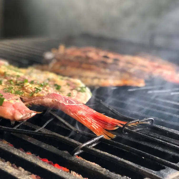 El Coste Cevicheria & Grill, Puerto Escondido, OAX