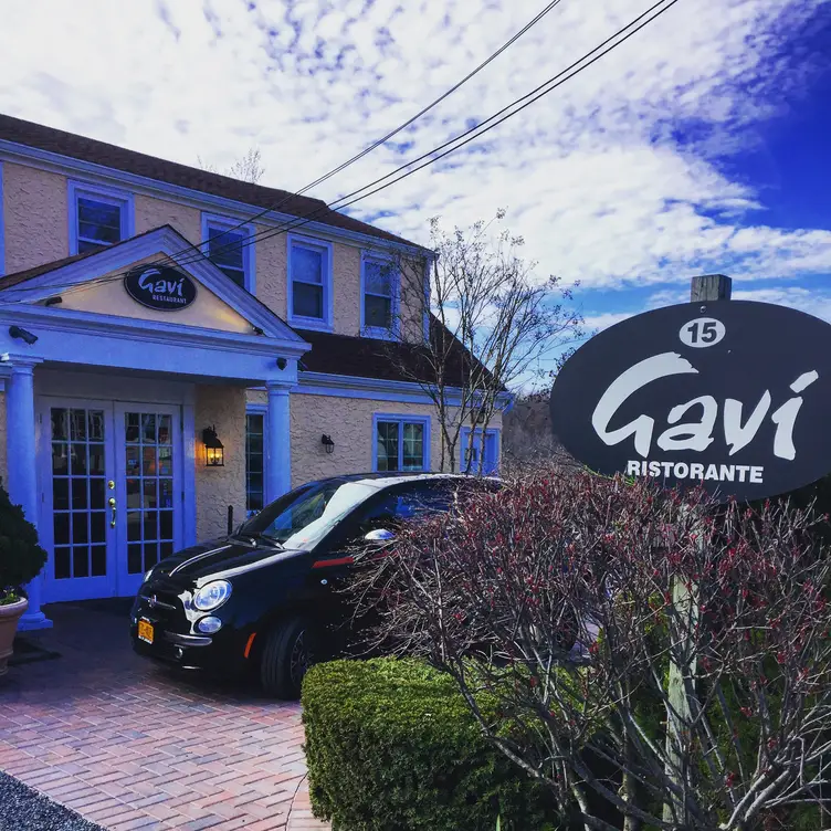 Gavi, Armonk, NY