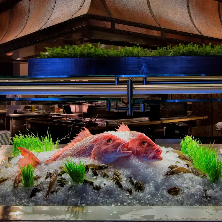 deep blu Seafood Grille and Sushi, Orlando, FL
