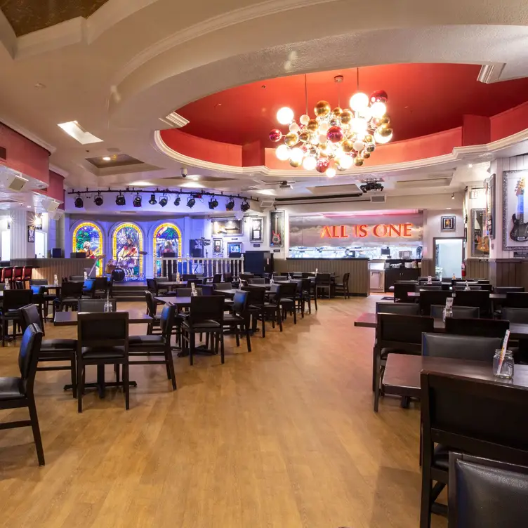 Hard Rock Cafe - Miami Restaurant - Updated 2023 | Book your table now