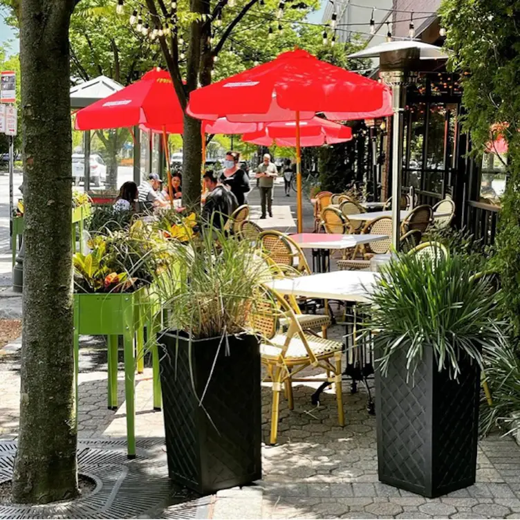 Novita Wine Bar Trattoria Garden City Restaurant Garden City, , NY