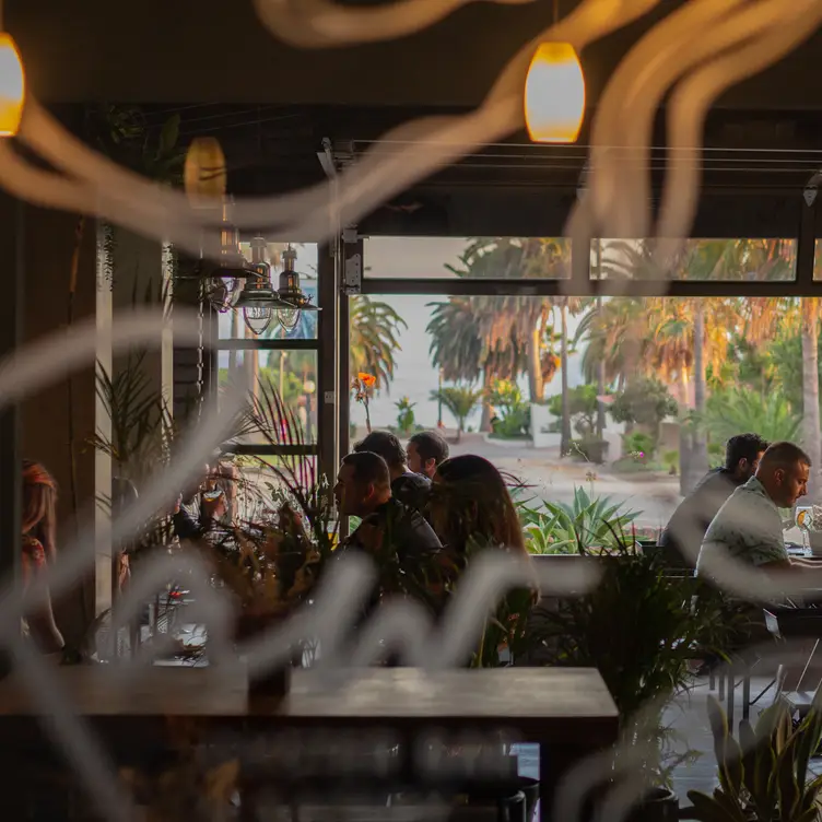 Raw Oyster bar, Ensenada, BCN