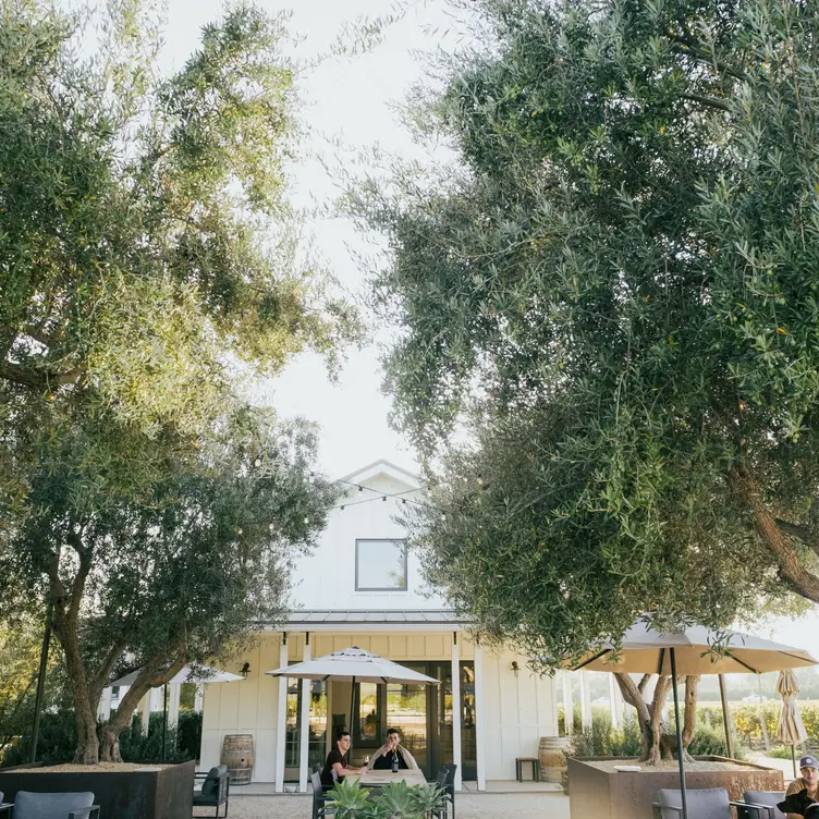 Biddle Ranch Vineyard, San Luis Obispo, CA