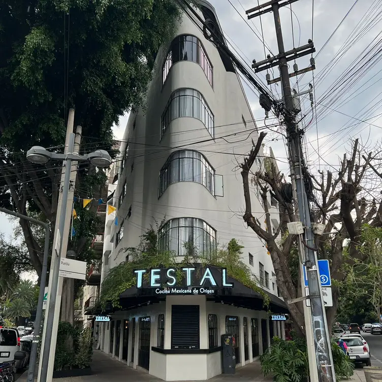 Façade of Restaurante TESTAL - Testal - Roma, Ciudad de México, CDMX