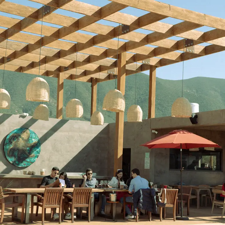 PORTÉE Petanca + Restaurante, Villa de Juárez, BCN
