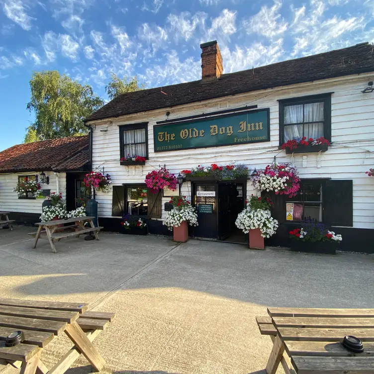 The Olde Dog Inn, Brentwood, Essex