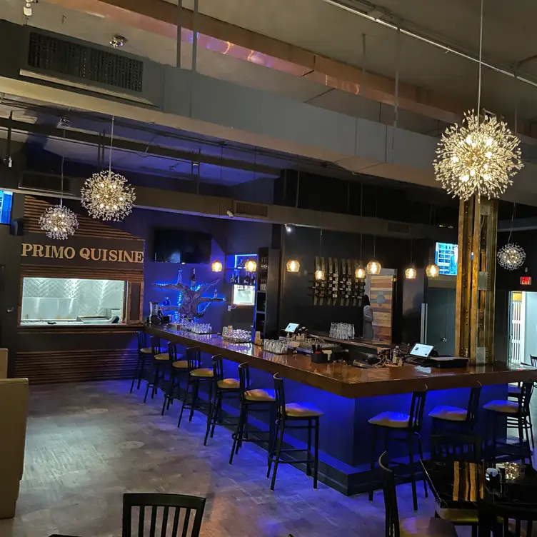 Come Join us for an African Safari - Primo African Quisine, Cleveland, OH