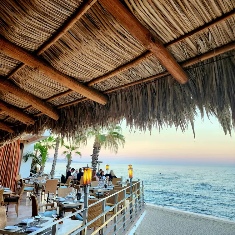 7 Seas Seafood Grille BCS San José del Cabo