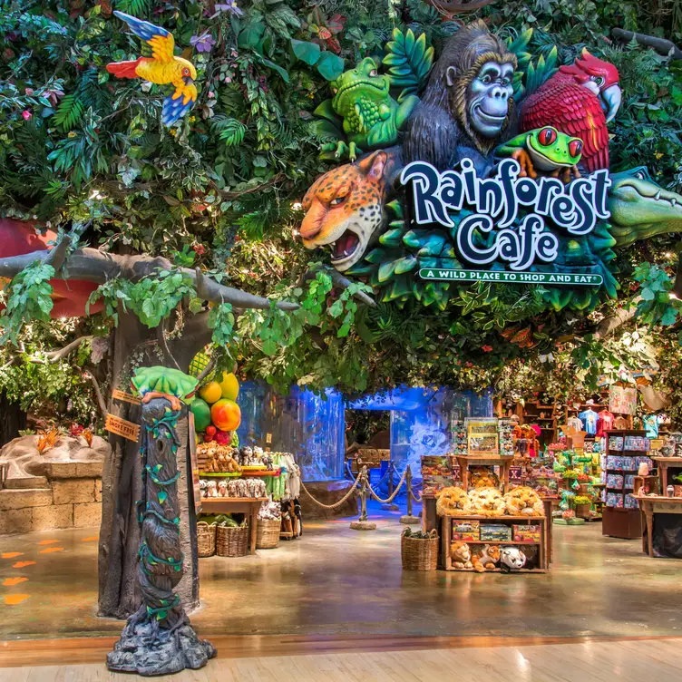 Rainforest Cafe - Ontario Mills CA Ontario