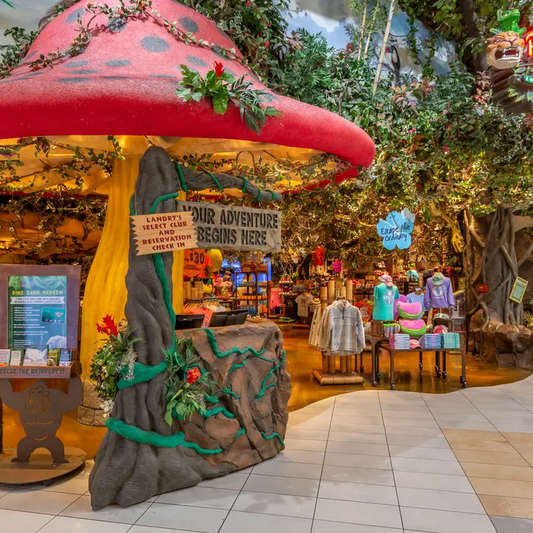 Rainforest Cafe - Opry Mills TN Nashville