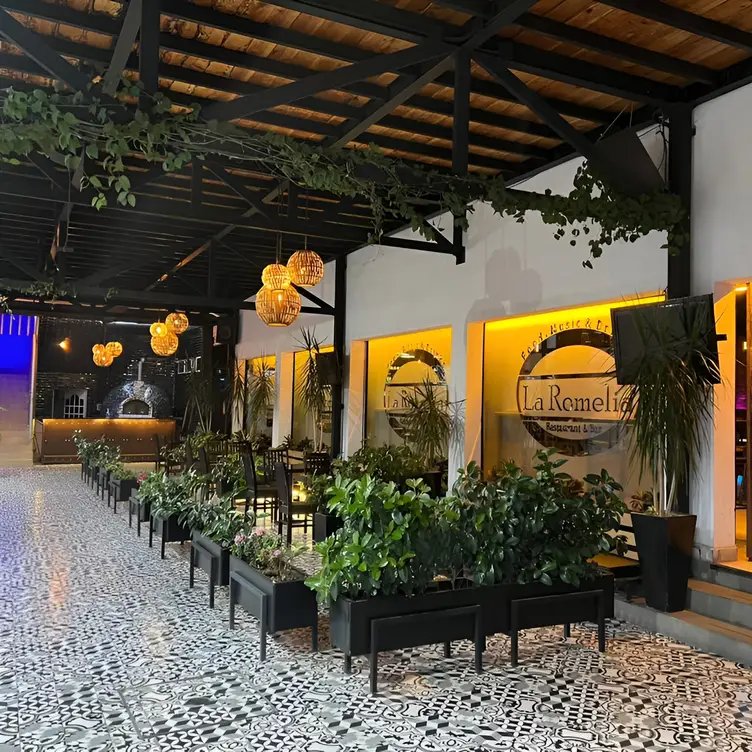 La Romelia Bar, Estado de México, MEX