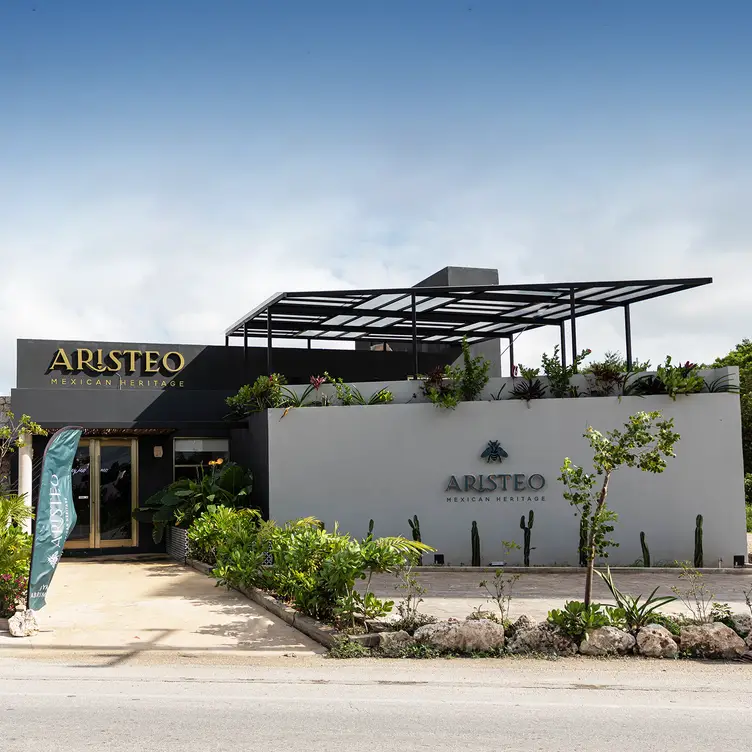 Aristeo - Mexican Heritage, Cancún, ROO