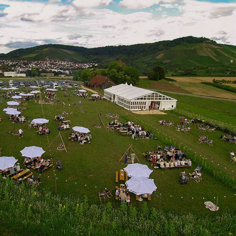 Bergfest 2024 - Wein genießen! - Weingut Albrecht Schwegler, Korb, BW