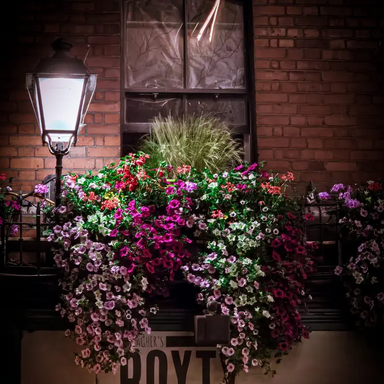 Gallagher's Boxty House Flower Shop Front - Gallagher's Boxty House, Dublin, Dublin