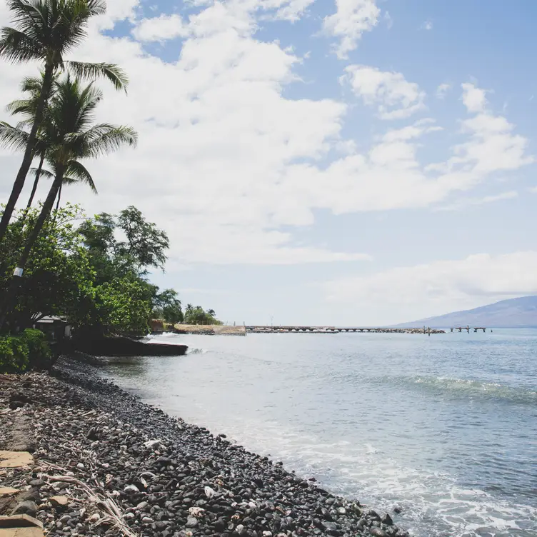 Honu Oceanside, Lahaina, HI