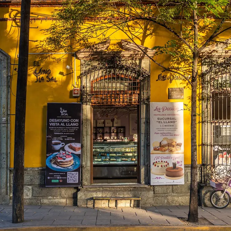 El Vino y la Sal, Oaxaca de Juárez, OAX