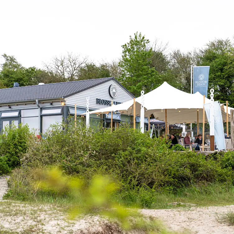 Unser schönes Restaurant direkt am Meer - BLOSSOM BEACH SH Schwedeneck