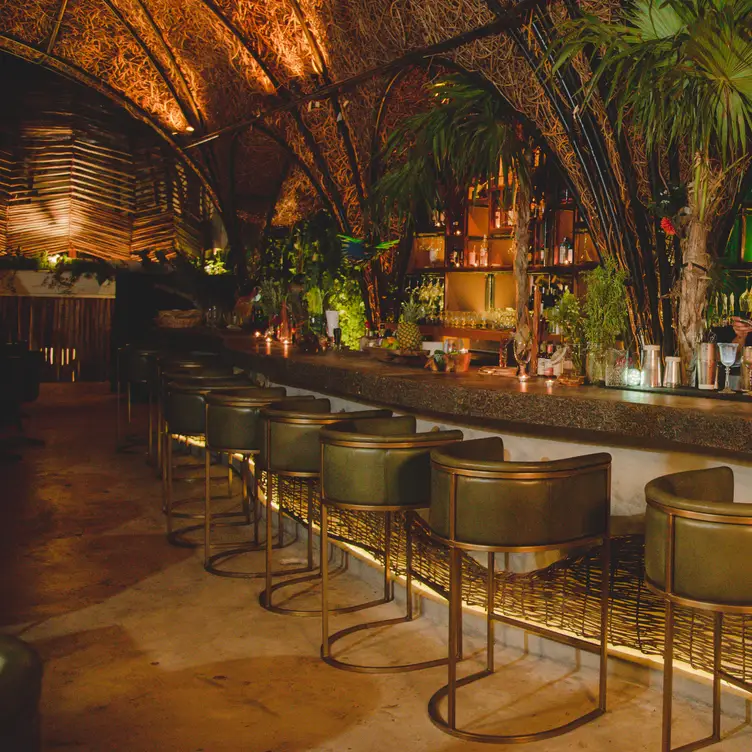 Amazónica Tulum Prime Steak and Seafood Bar, Tulum, ROO