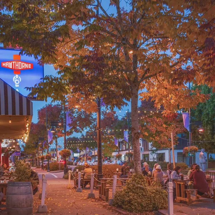 Seasonal Patio - Hawthorne Beer Market, Surrey, BC