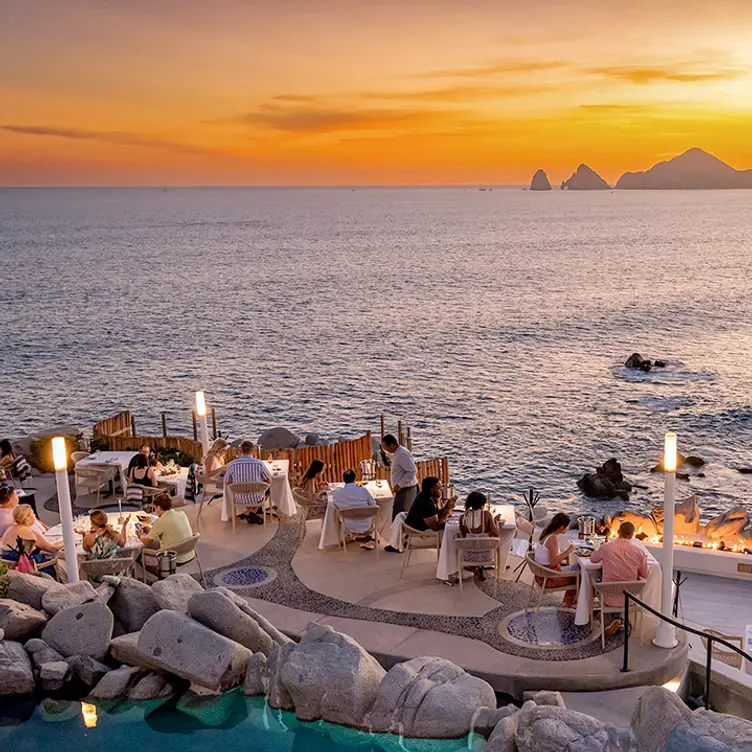 Where Los Cabos Bay meets culinary excellence - Sunset Monalisa, Cabo San Lucas, BCS