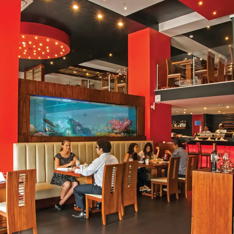 NOE sushi bar - San Luis Shopping, Quito, Pichincha