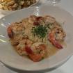 A photo of Shrimp Scampi of a restaurant