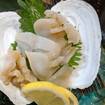 レストランのGiant Clam Sashimi​の写真