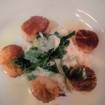 A photo of Sea Scallops of a restaurant