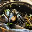 レストランのShetland Mussels​の写真