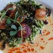 Una foto de SEARED SCALLOPS de un restaurante