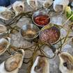 A photo of Oysters of the Day of a restaurant