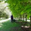 Une photo de Afternoon Truffle Hunt d'un restaurant