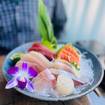 Une photo de Sashimi Combo d'un restaurant