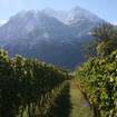 Une photo de Wines of the World Series 2 - Mountain Stories d'un restaurant